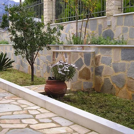 Pegasos כריסי אמודיה