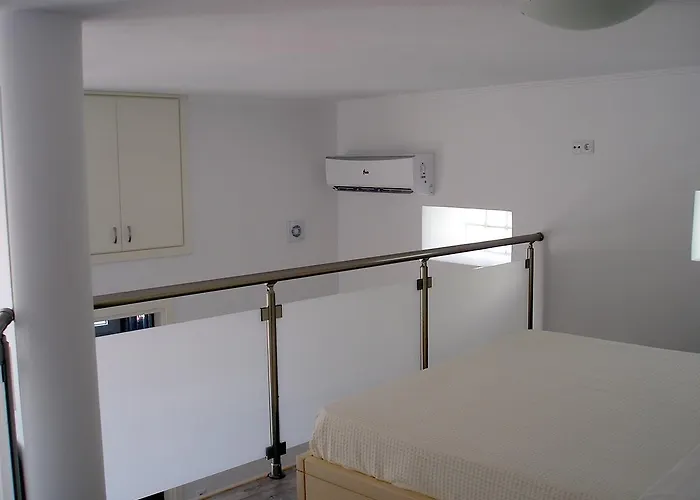 Pegasos * 克里斯阿穆迪亚